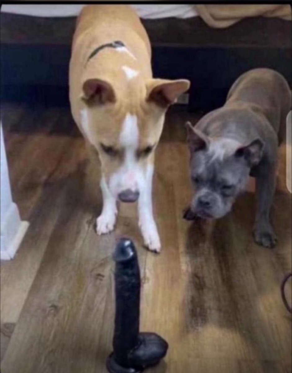 E don tey I do this kind amebo.
Walk with me.

So best girl claimed this man had nothing when she met him and brought him to lagos from uyo out of love and he still cheated. Awwwwn