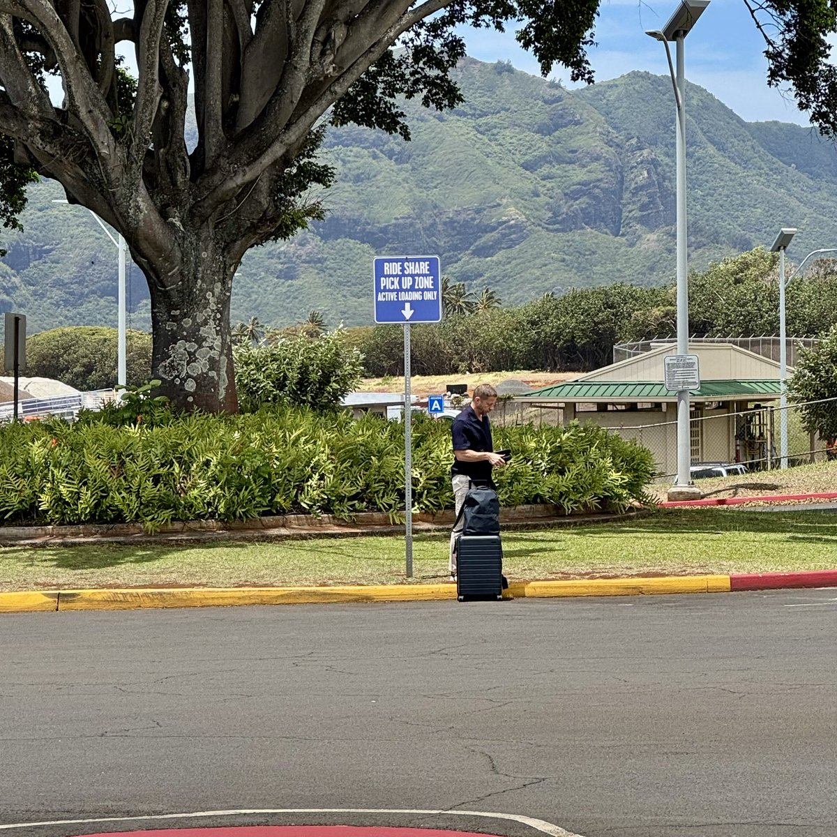 Sideshow Bob tweet media