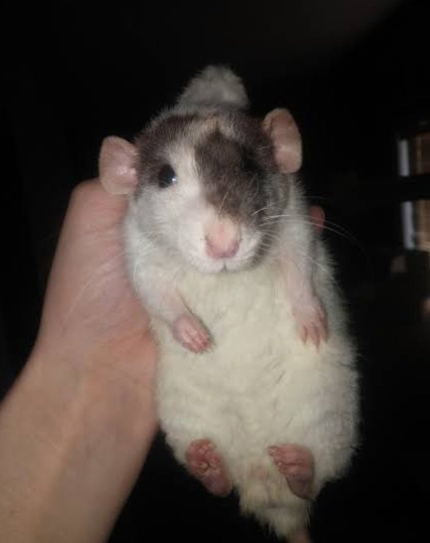 ThatLocalPilot's tweet image. 