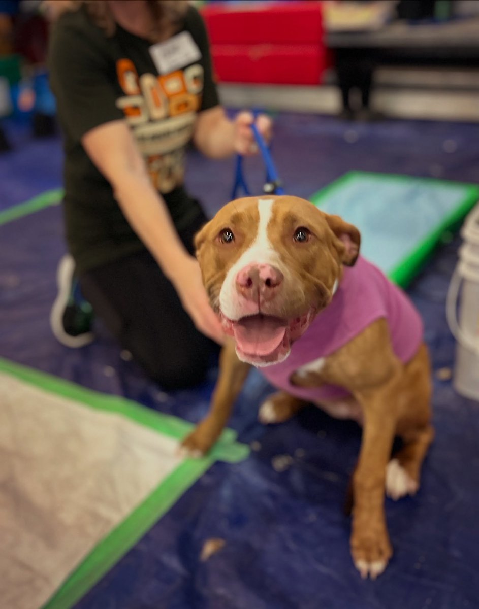 Thank you to the Canadian Animal Task Force for helping make this past weekend's Spay and Neuter clinic a wild success!