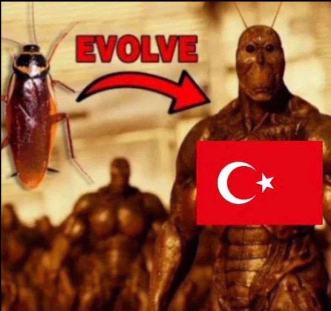 beastullatif's tweet photo. @bilgecontent @EAO72 Hardalları da* https://t.co/7omtB6QxQN