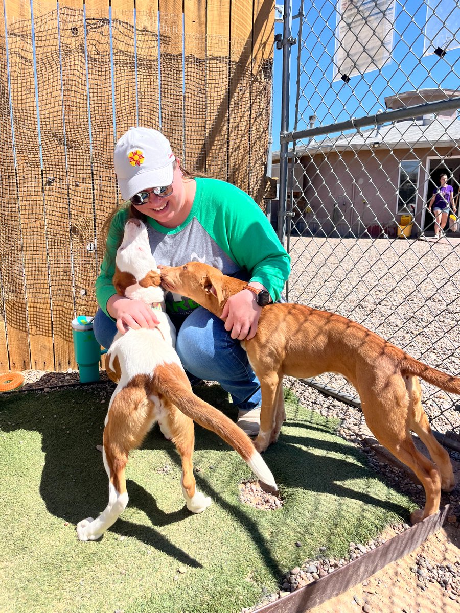 🐾 Amazing time volunteering at Watermelon Mountain Ranch! Thank you to all who made a difference! 💚 #CampusBranchCares #VolunteerDay #WatermelonMountainRanch #AnimalRescue #TeamworkAndTails #NusendaCreditUnion