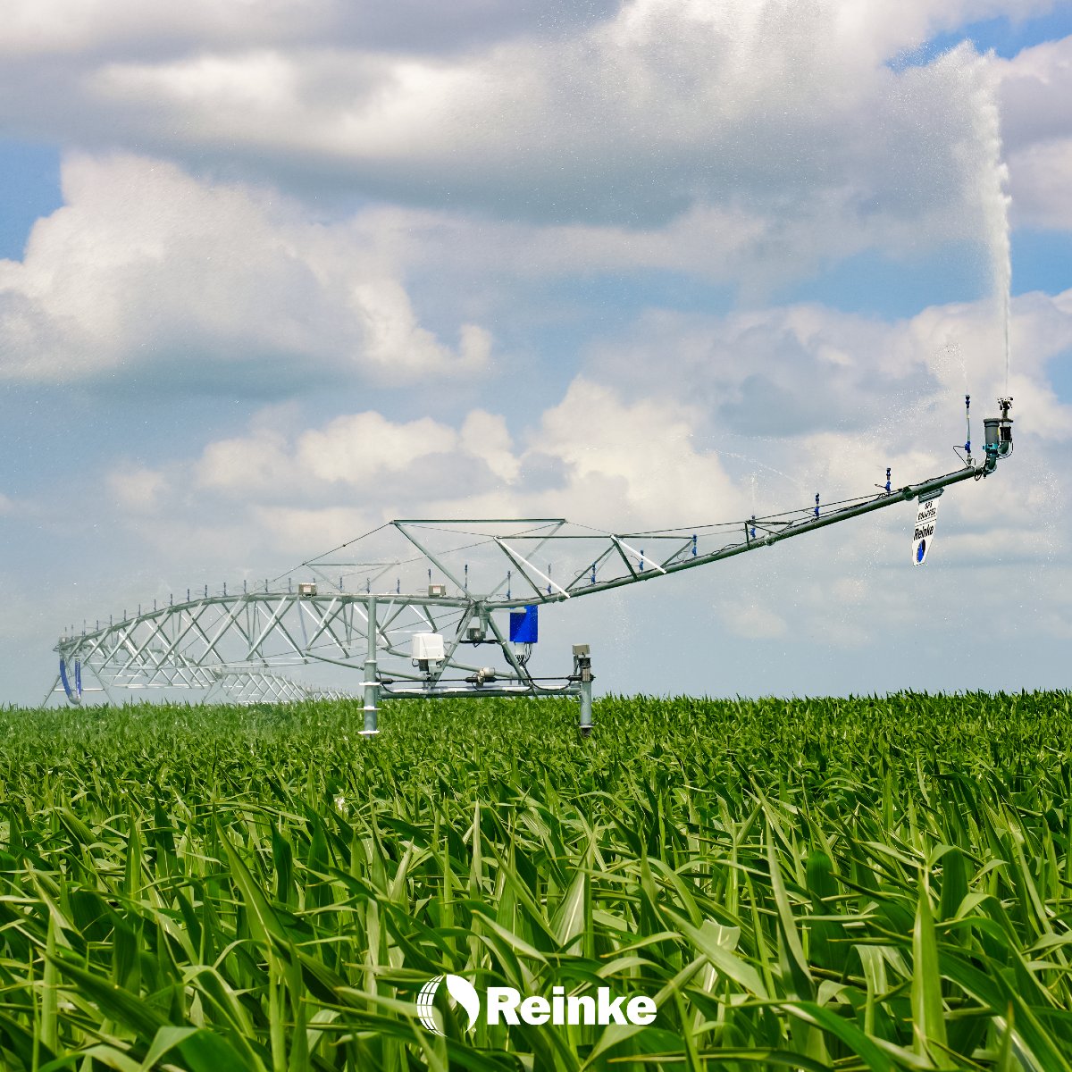 Transform your fields with a Reinke irrigation system. Our technology ensures optimal growth and a premium harvest.🌽 #PivotIrrigation