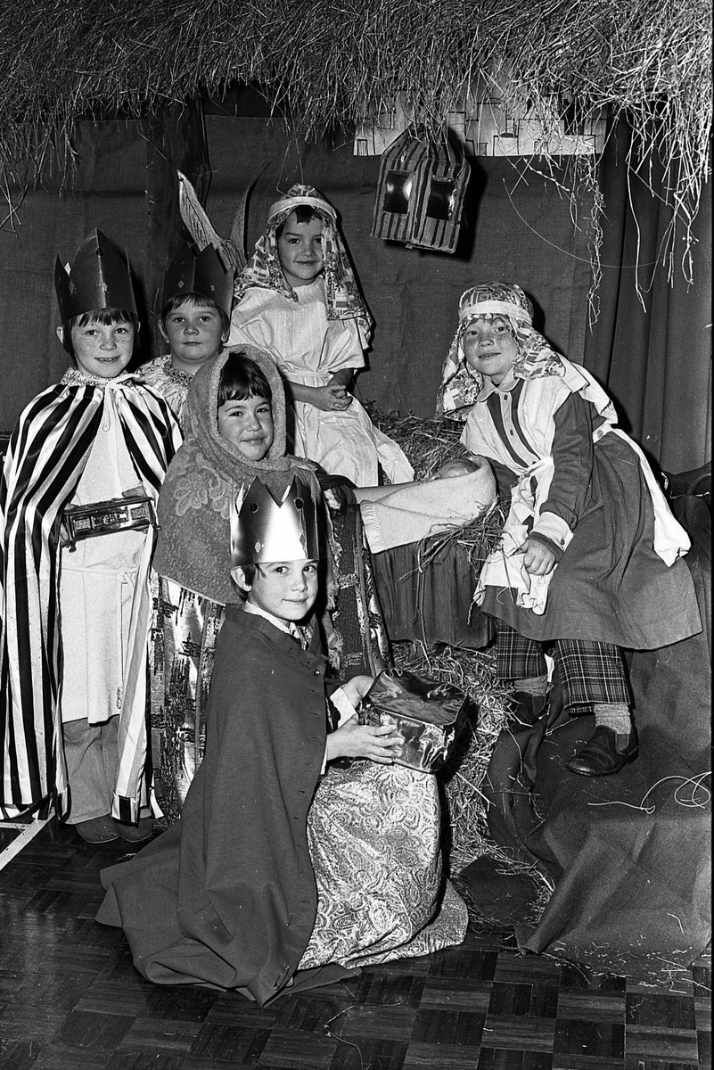 The Museum of Christmas tweet media