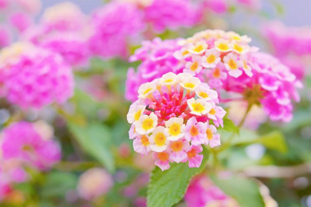 🌷🌸🌻

お⃰  は⃰  ま⃰  あ⃰  な⃰

朝から(ﾉ´³` )❥❥ㄘゅ〜ずでー💋💄
燃え萌えｷｭﾝ( ֦ơωơ֦)な火曜
ツユートピア☁️꒰´•௰•`๑꒱戻ってきた曇リラックス⛅️な朝ですね❣️4時にはベビ👶💕が起きて騒ぐ毎日ですが🥺今日も(/｡'(ｪ)')よろしクマｱﾆｬ🧸🎀 相互フォロー

youtu.be/WncRo0lrhL0?si…