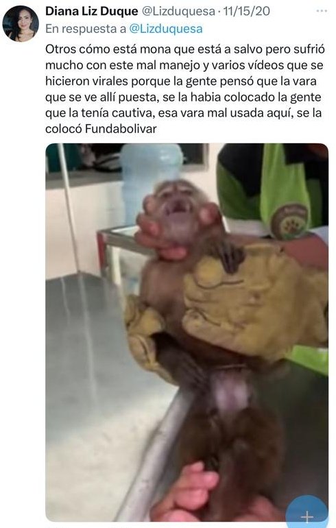 Abandonar seres vivos es delito.

Usar de tapadera a FundaBolivar "para rescatar animales" cuando lo único que quería era lucrarse con el sufrimiento de ellos es delito.

Jonatan Palacios demostró inhumanidad extrema.

¡Que pague por su maltrato!

#SeBuscaJonatanPalacios
