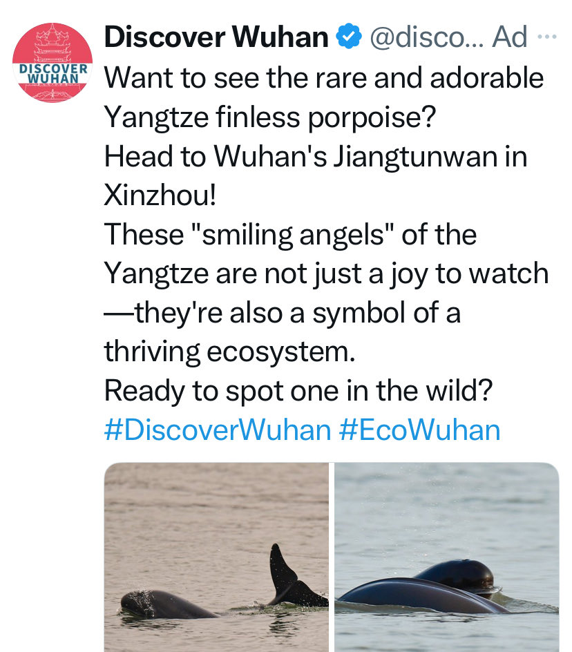 Ad on my timeline is more evidence of the #TrumpMuskBromance breakup. X shilling for t-rump favourite viral birthplace lol.