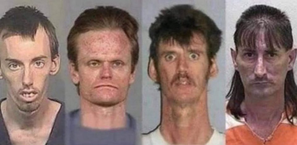 vinquezada1's tweet photo. What’s their band name? https://t.co/uccoGxTf9m