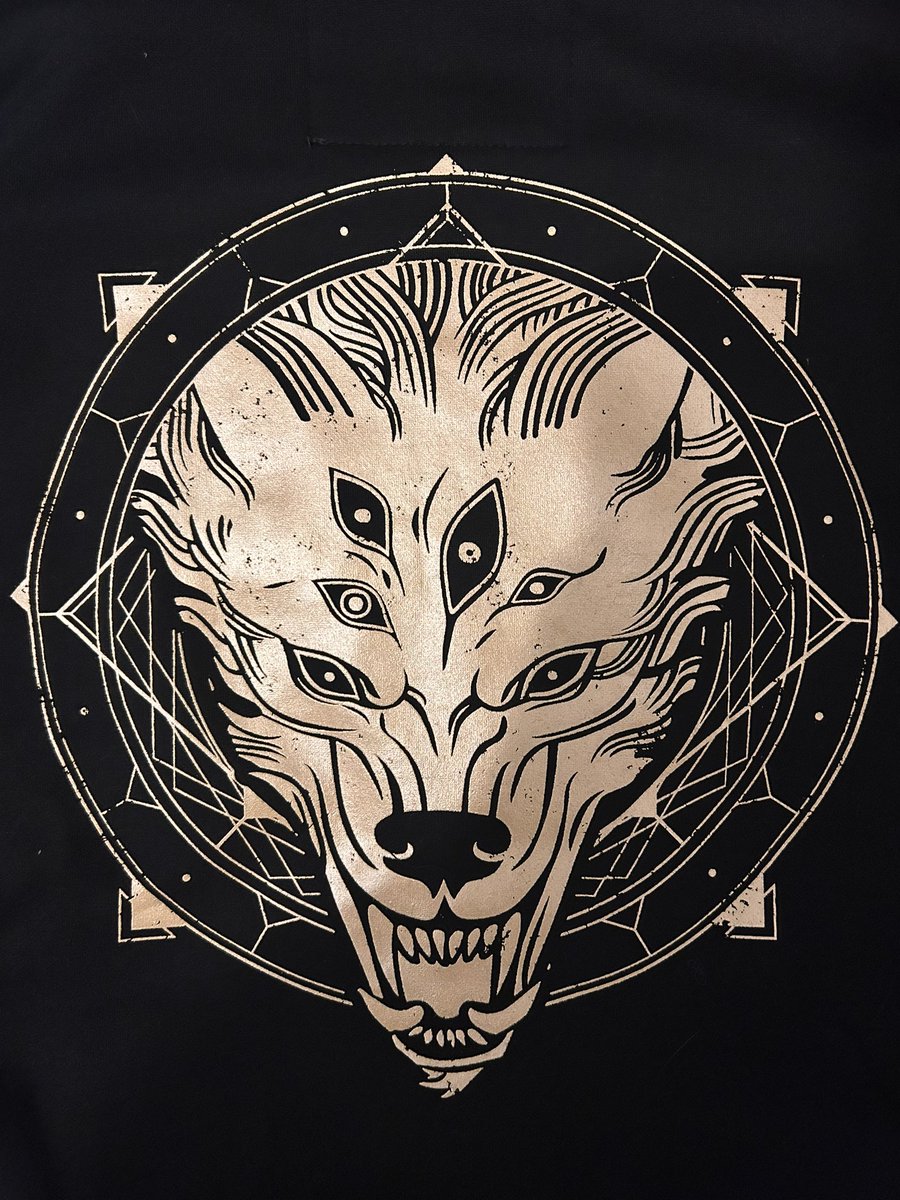 NoeticVice's tweet image. Thank you thank you thank you @MrTeamCorvette &amp;amp; @InsertCoinTees for the Veilguard merch hook-up!! The cosiest hoodie and jacket combo to ever exist, and thoroughly cat approved (thank god the hoodie is black fr 😭😭)

💜💜💜