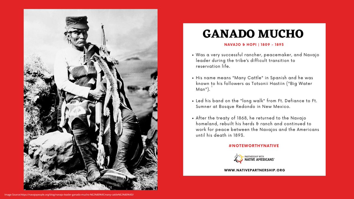 PWNA4hope's tweet image. Ganado Mucho survived the Navajo War, led his people on the Long Walk, &amp;amp; spent his life rebuilding &amp;amp; promoting peace. His name, “Livestock Many,” honors the strength he carried and the life he built.

Learn more: NativePartnership.org/Noteworthy-Nat…

#PWNA4Hope #NoteworthyNative #GanadoMucho
