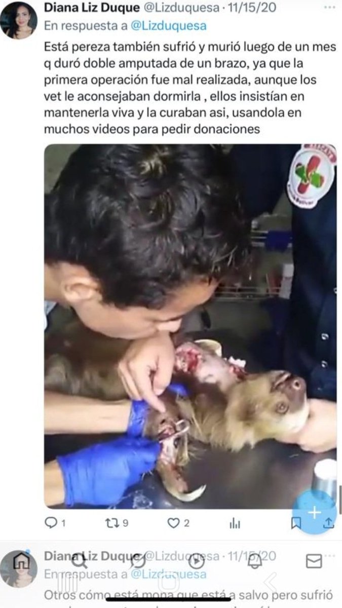 #SeBuscaJonatanPalacios Aquí les mostramos como el asesino de animales Jonatan Palacios, dejaba morir a estas indefensa criaturas utilizando personal no capacitado, cárcel para ese delincuente