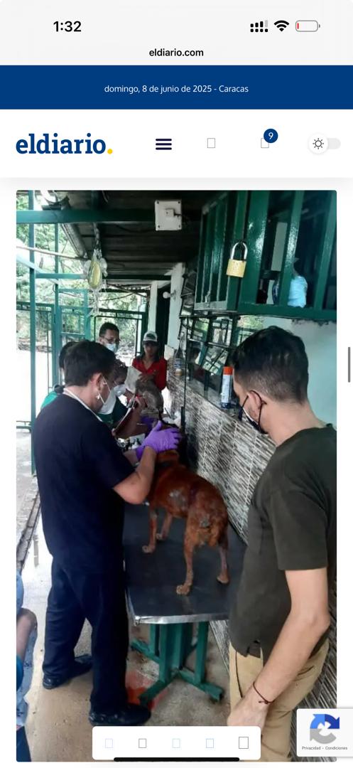 claumgta's tweet photo. Atención 💢 Denunciamos las condiciones inhumanas en las que viven los animales en funda bolivar. ¡Esto tiene que parar! 
#sebuscajonatanpalacios https://t.co/YQEmeUkETg