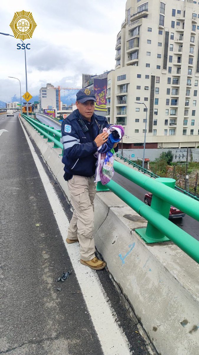 Policías de <a href="/SSC_CDMX/">SSC CDMX</a> rescataron a un gato que se encontraba en el segundo Piso del Periférico y Av. San Jerónimo, ya fue trasladado a las oficinas de la Brigada de Vigilancia Animal en Xochimilco.