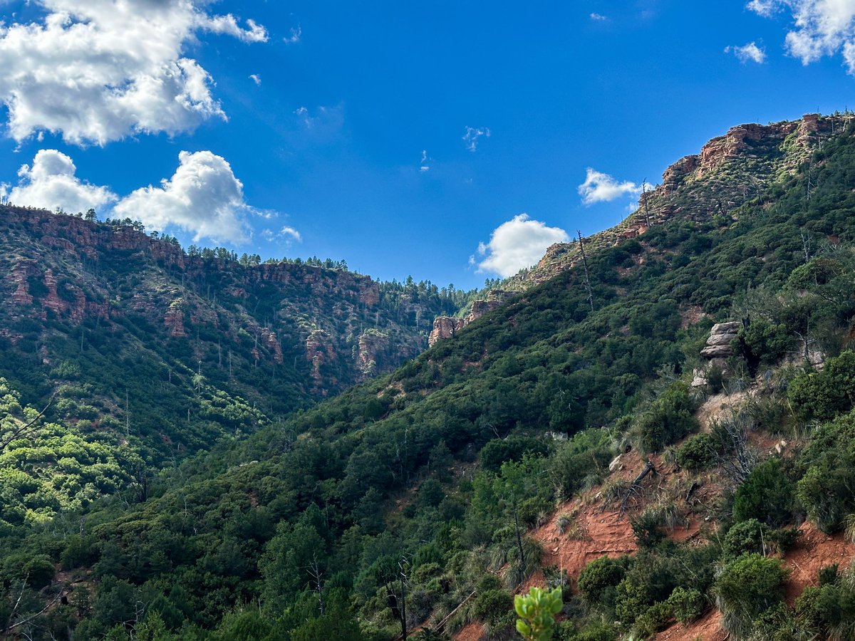BenjiBacker's tweet photo. All U.S. Forest Service land near urban areas. 

All eligible to be sold-off if the Senate doesn’t stop the public lands sale. https://t.co/rps1xXwXau