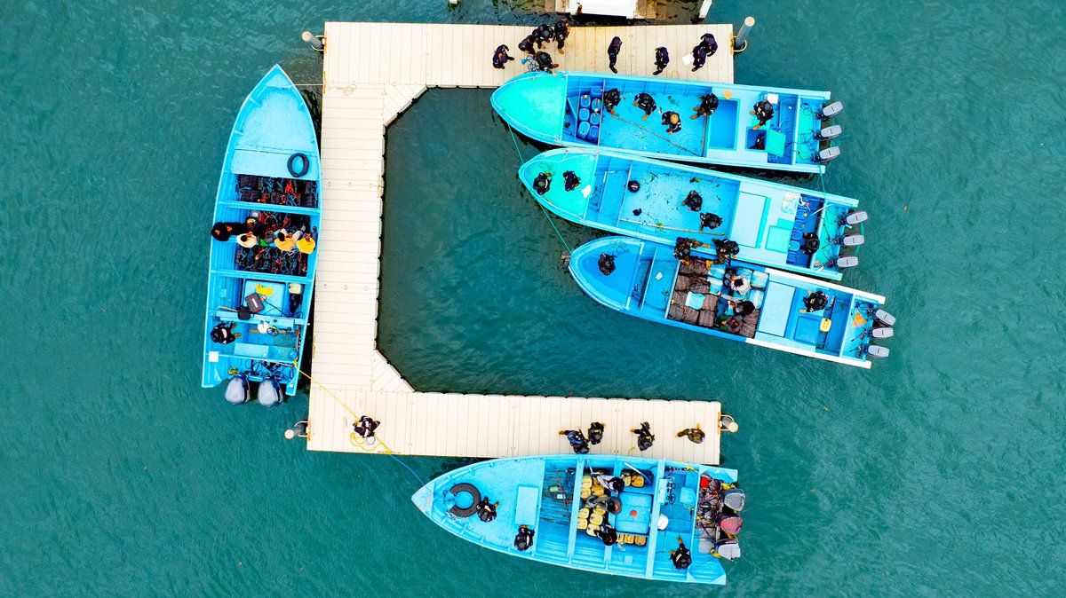 PNC El Salvador tweet media