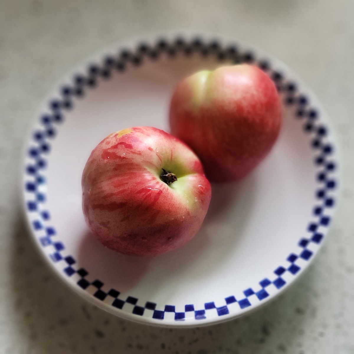 여름 복숭아 색감 최고다