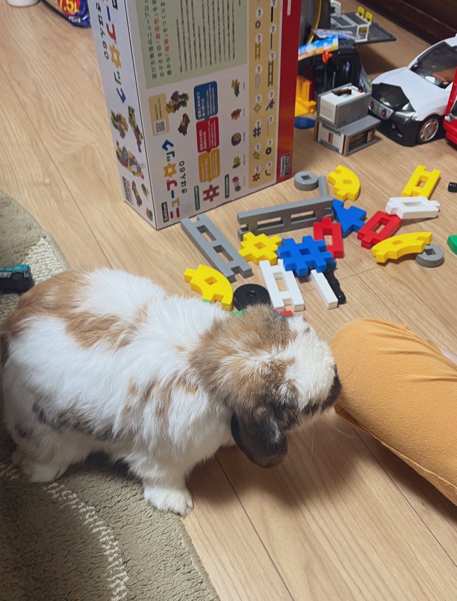 朝からブロックやってる