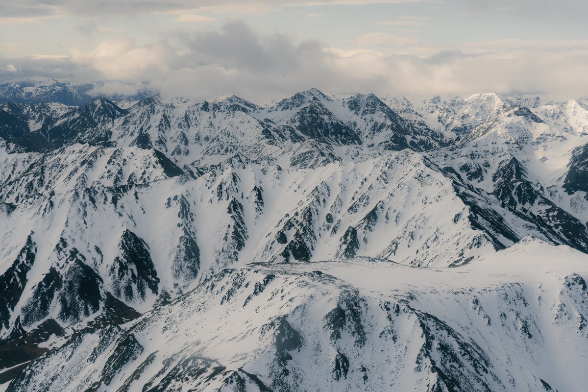 First Lite tweet media