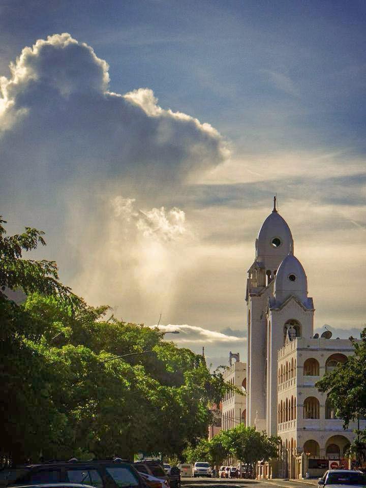 La luz de la última hora del día…