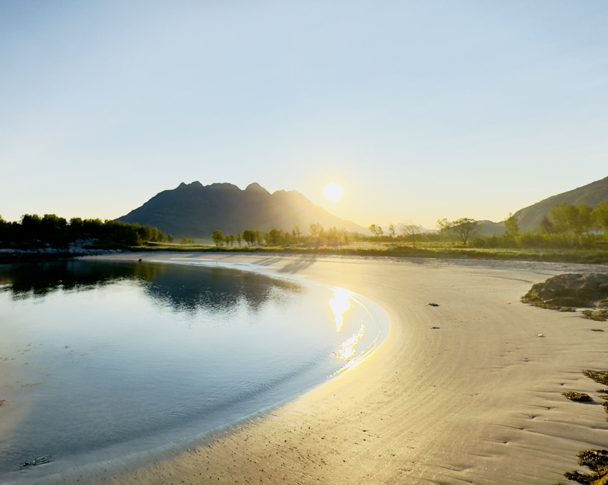Vadfinnsomkring's tweet image. Let’s see your First Days of Summer captures!🌺

#FirstDaysOfSummer 
Bodø, Norway 🇳🇴