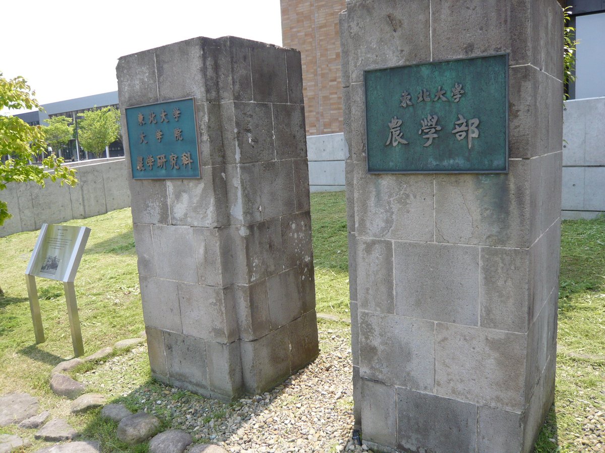 東北大学附属図書館（Tohoku Univ. Lib） (@hagi_no_suke) / X