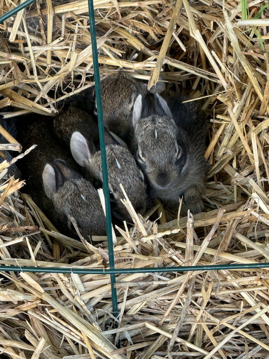 just(tif) for all ⚖️ tweet media