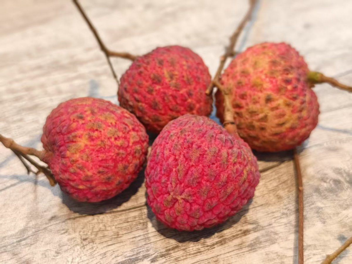 萝岗老树糯米糍治好了我的荔枝“阳痿”，不甜、清香、核迷你，听说比仙进奉便宜很多。

甜到齁的桂味我爱答不理，糯米糍是新的白莲花~