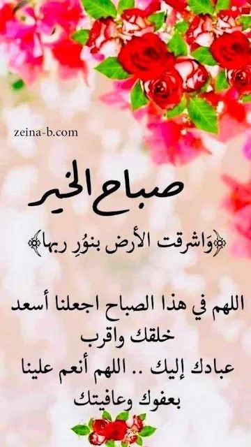 57671fdca89c4d1's tweet photo. *أسأل الله ان يسعدكم ويفرج همكم ... ويسهل  امركم ... ويغفر لكم ولوالديكم ... وذريتكم ... وان يبلغكم اسمى مراتب الدنيا ... وأعلى منازل الجنه ... طبتم وطابت ايامكم بالسعادة والهناء*

 🌹 *صبــاح الخيـــر*🌹 https://t.co/2XrggNneRg