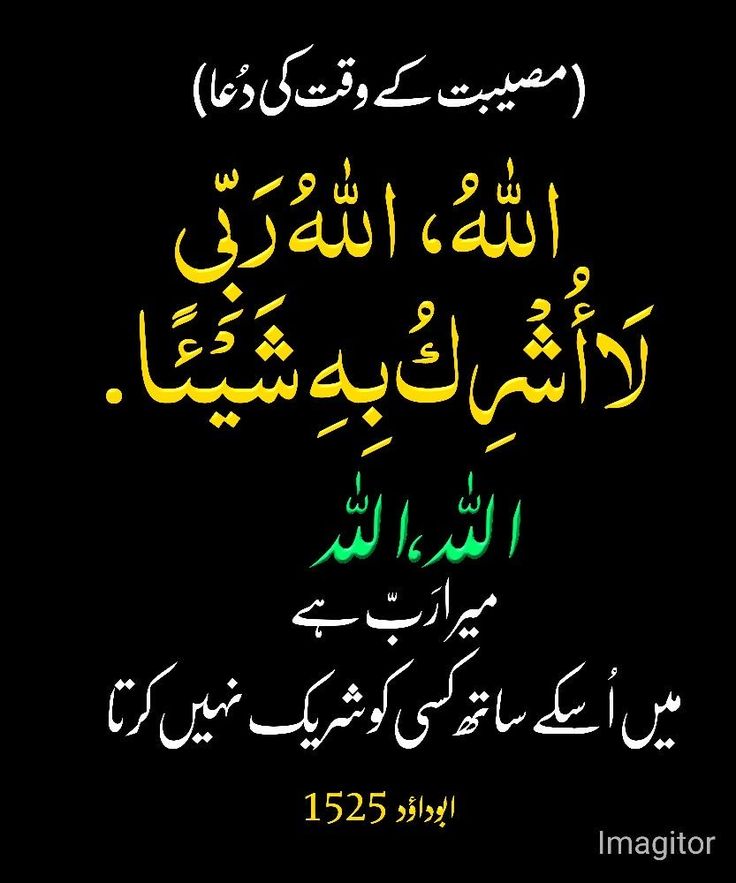 السلام علیکم ورحمۃ اللہ وبرکاتہ ،
میرا رب ہے  
میں اس کے ساتھ کسی کو شریک نہیں کرتا، بے شک سبحان اللہ
Good morning my dear friend 🌷💓