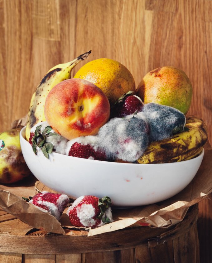 If you take a piece of rotten fruit and place it next to perfectly good fruit… It’s only a matter of time before the mold spreads. Now both are spoiled. Then eventually the entire bowl.

The same thing happens when you surround yourself with rotten people. Negativity, gossip,