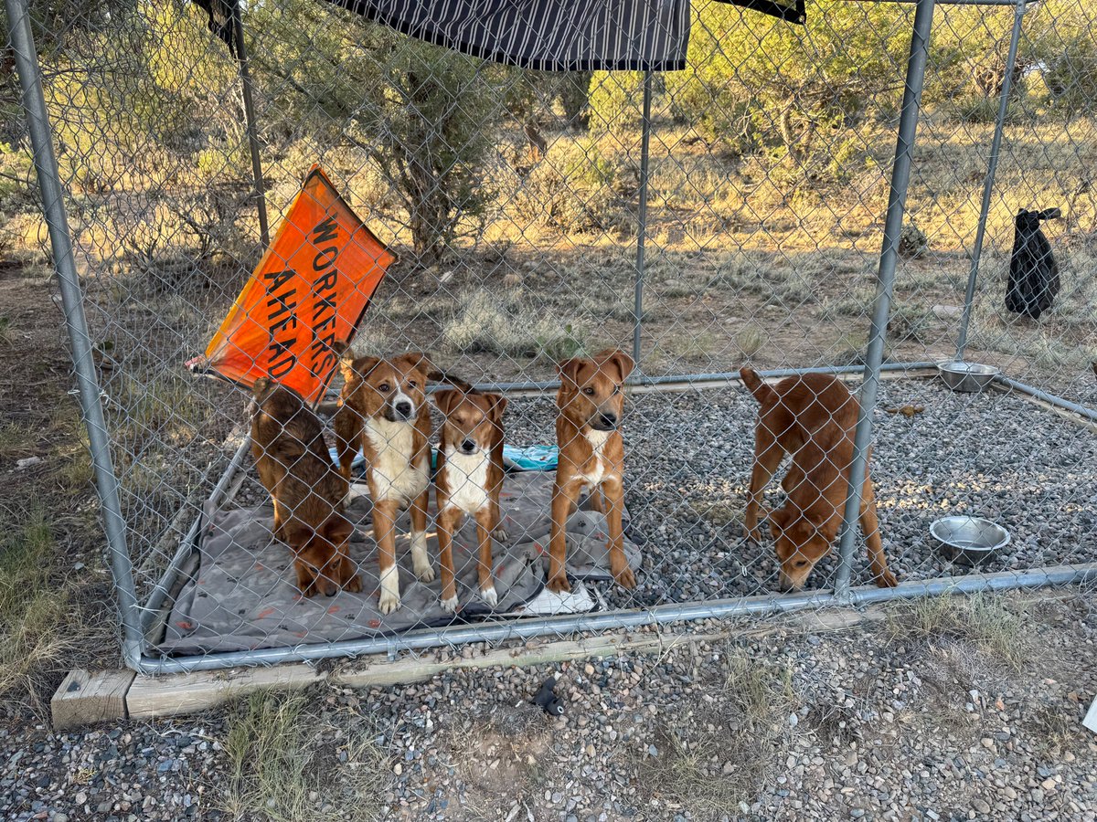 CPW SW Region tweet media