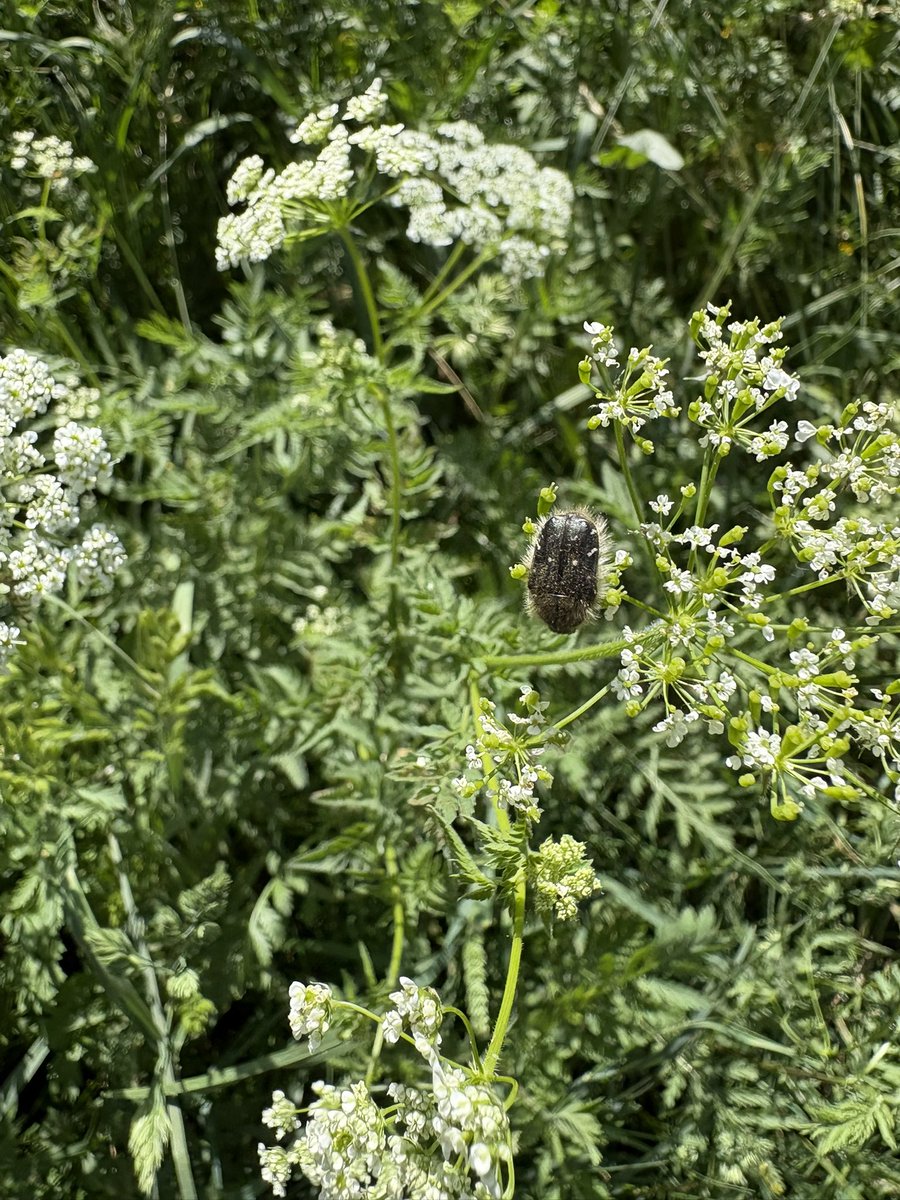 ReiRin🇩🇪🇯🇵 tweet media