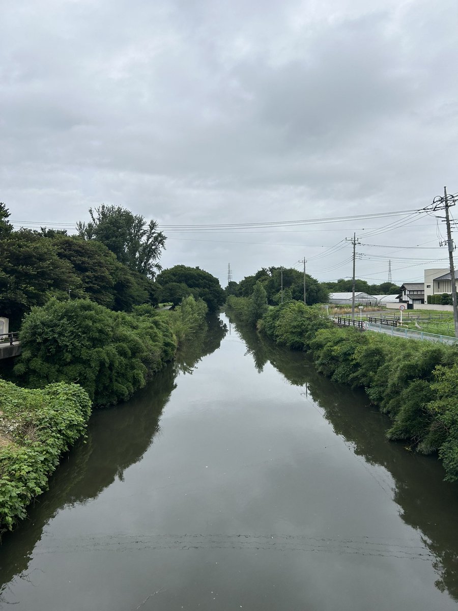 朝の芝川
今日も、川口・蕨はとても平和です。
 #クルド人差別を止めましょう
