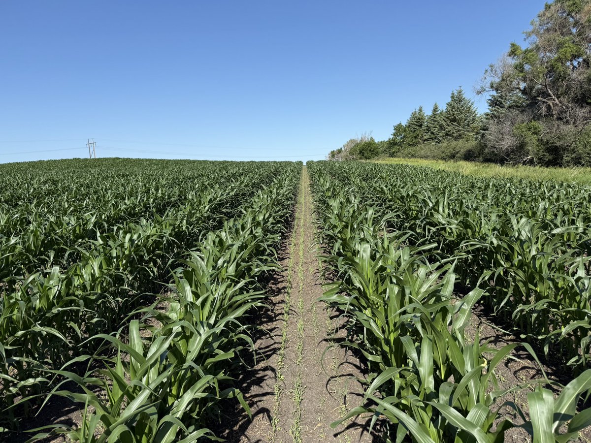 Joe Breker tweet media