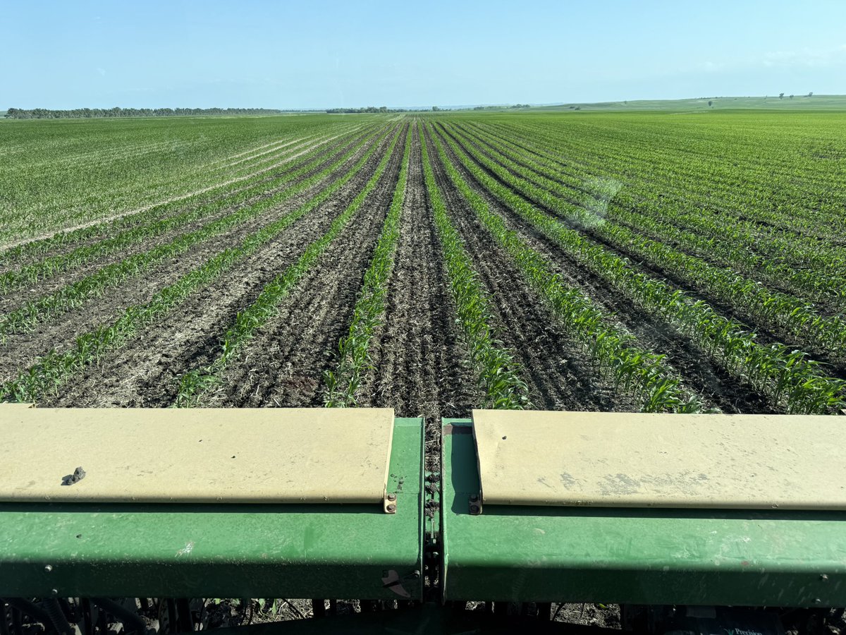 Joe Breker tweet media