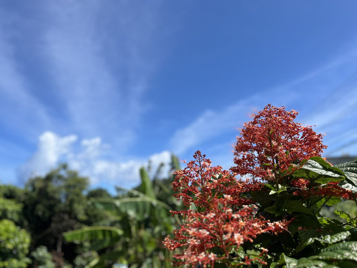 2025年6月24日(火)
旧暦5月29日　先負
甲子(きのえ ね)　一白水星
十二直 破(やぶる)　

🌈自分らしさとは何なのか
考えてみよう🫧どんな能力があり
どんな役割だと活躍できるのか🌸
自分を出してみよう🍀