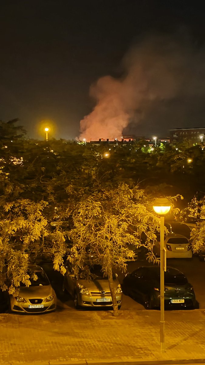 Fran Mena tweet media