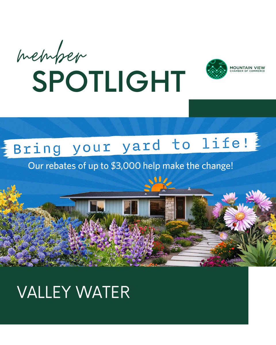 Chamber of Commerce Mountain View (@chambermv) on Twitter photo Member Spotlight | Since 1929, the Santa Clara Valley Water District has managed a reliable water system—providing clean water, flood protection, and stream stewardship for 1.9 million Santa Clara County residents.
valleywater.org
<a href="/valleywater/">valleywater</a> Member Spotlight | Since 1929, the Santa Clara Valley Water District has managed a reliable water system—providing clean water, flood protection, and stream stewardship for 1.9 million Santa Clara County residents.
valleywater.org
<a href="/valleywater/">valleywater</a>