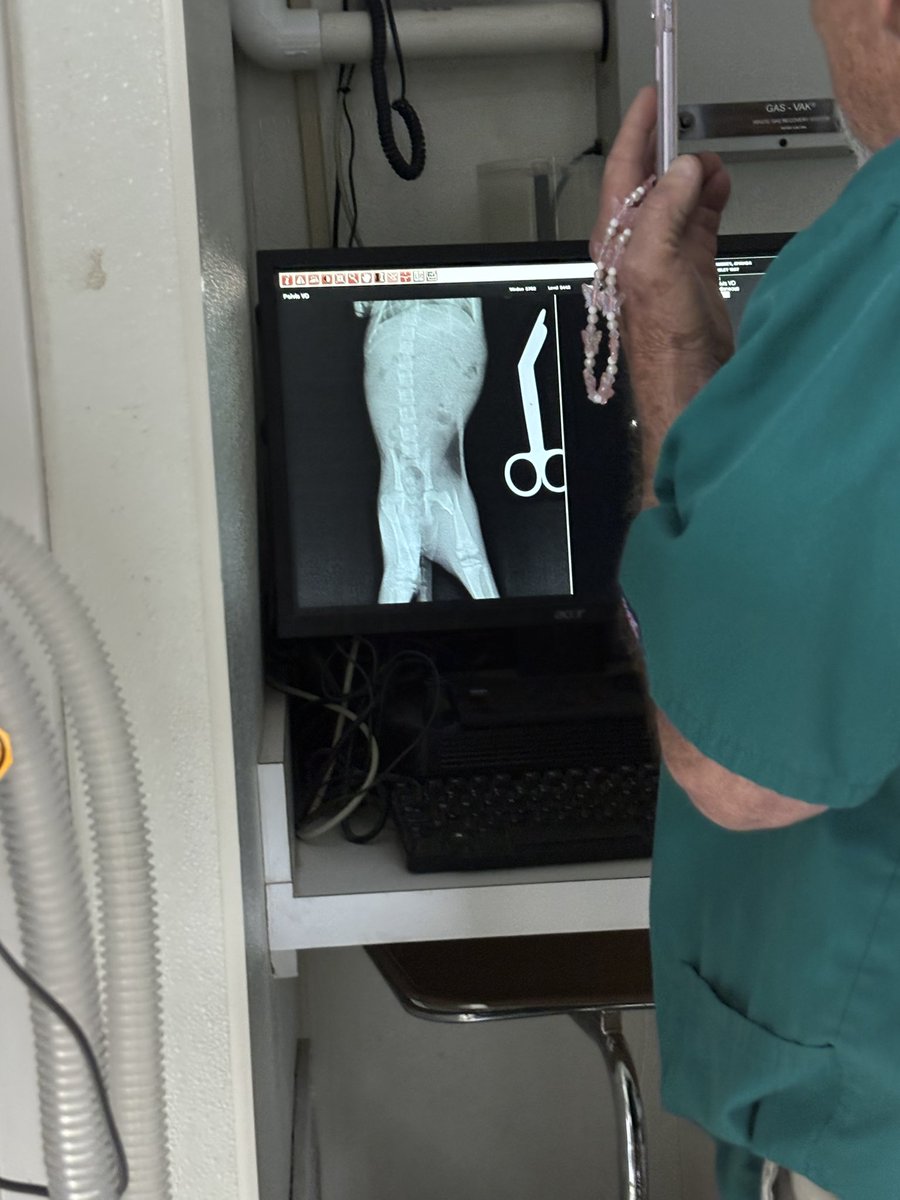 I am asking for anyone that wants to help pay for this cat’s surgery to please help 🙏 paypal.com/paypalme/zavnb