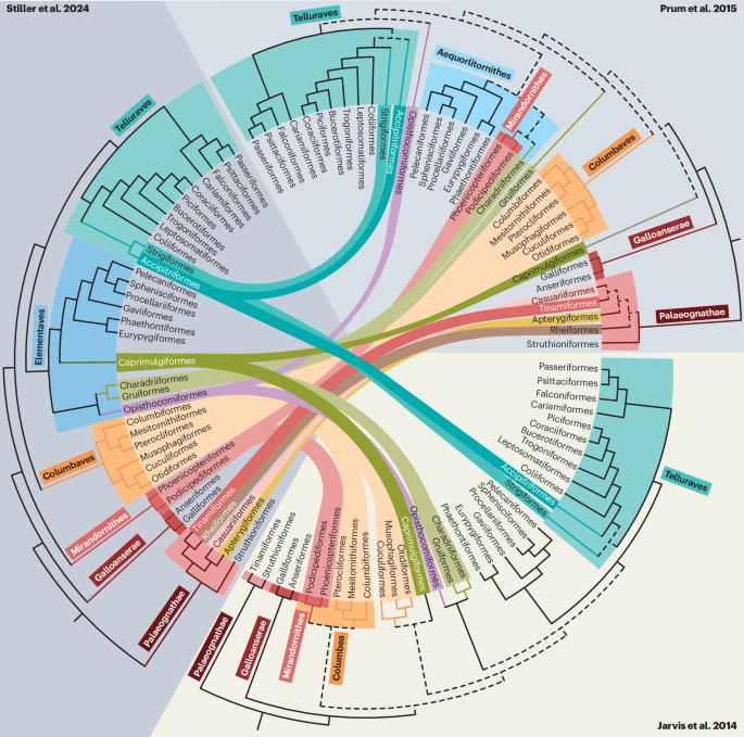 Nature Reviews Biodiversity tweet media