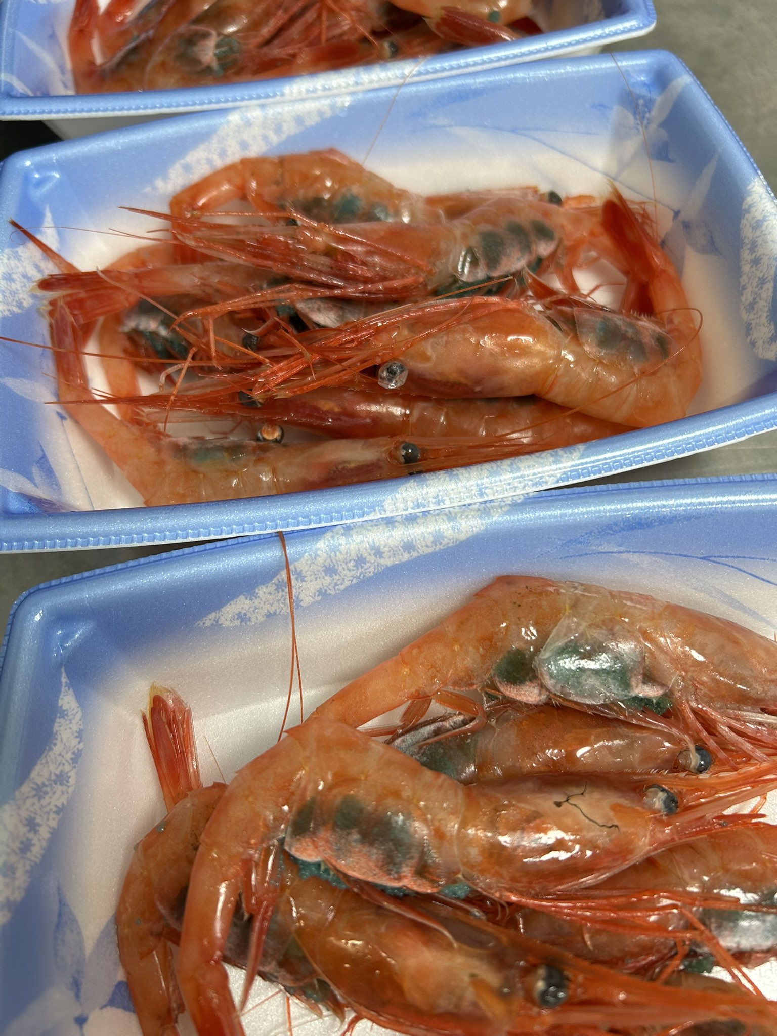 魚虎 うおとら on X: 