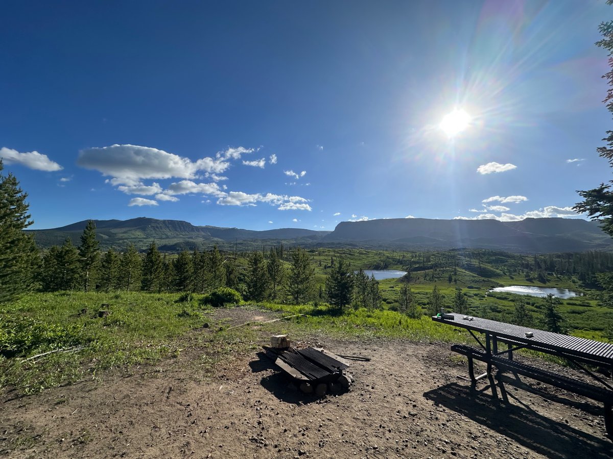 ✨Loki ✨ 🔜 🌍🇹🇿 tweet media