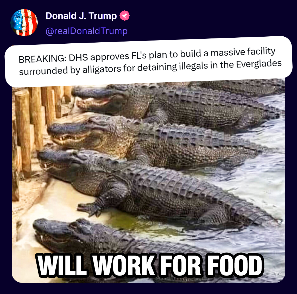 il Donaldo Trumpo tweet media