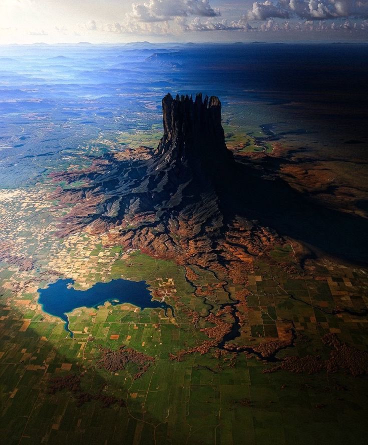 FredTheboy tweet media