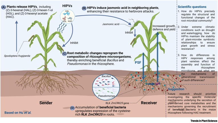 Harnessing herbivory-induced plant volatiles to regulate microbiomes: prospects and challenges for precision agriculture dlvr.it/TLWfyQ #plantscience