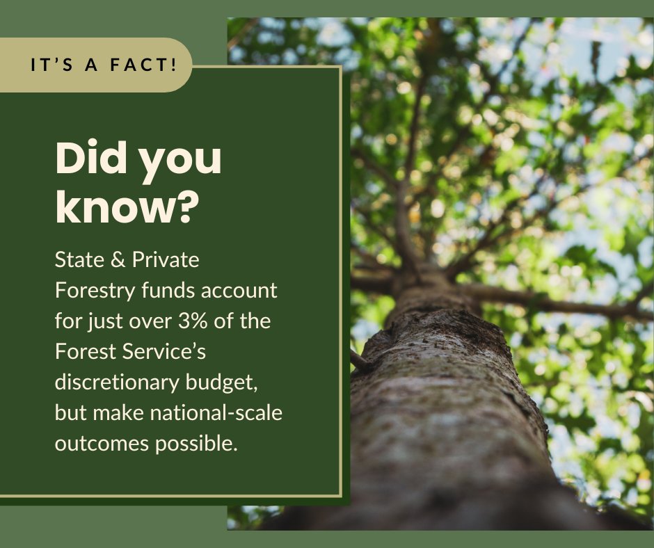 SGSF_Forests's tweet photo. Continued federal investment in State, Private &amp; Tribal Forestry ensures that states can carry out essential forestry programs, support private landowners and deliver the national outcomes all Americans depend on. https://t.co/LILkNRuL0O