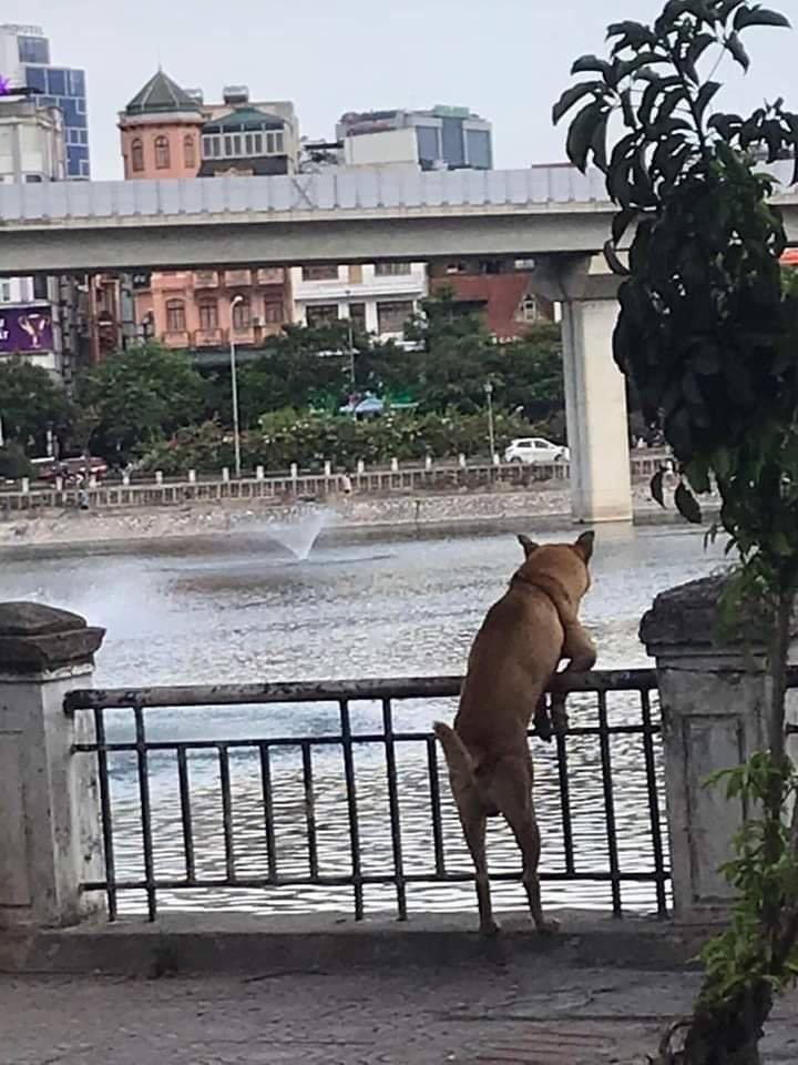 belleair tweet media