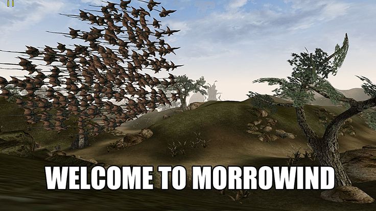 Playing some more Morrowind today. Hope to finish building my  new home with House Redoran. We will continue to do quests for them and then perhaps return to the Blades.

Stream Commences 11:00am AEST / 1:00am UTC

twitch.tv/daemon_master/

#Twitch #Morrowind