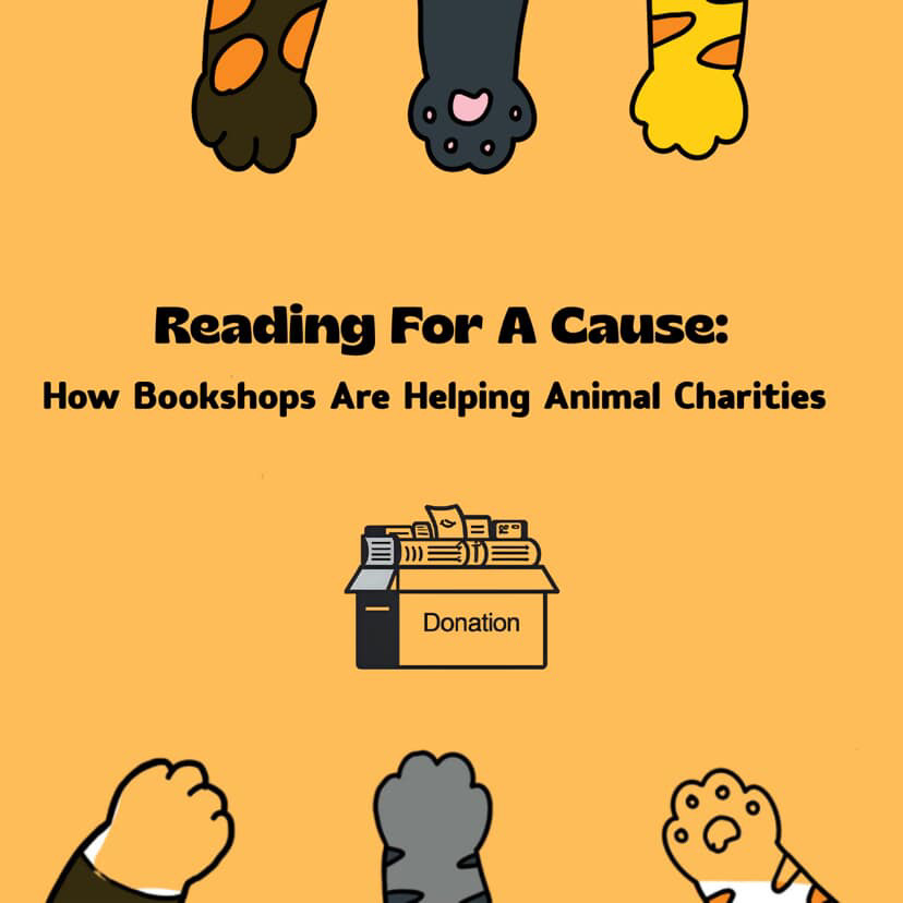 📚🐾 "Reading for a Cause: How Bookshops Are Helping Animal Charities" highlights independent bookshops fundraising for furry friends—through donations, events, and special editions. 

👇 Read more:
 silvervinepress.com/2025/06/22/rea…
#BookLovers #AnimalRescue #ShopSmall #ReadingForACause