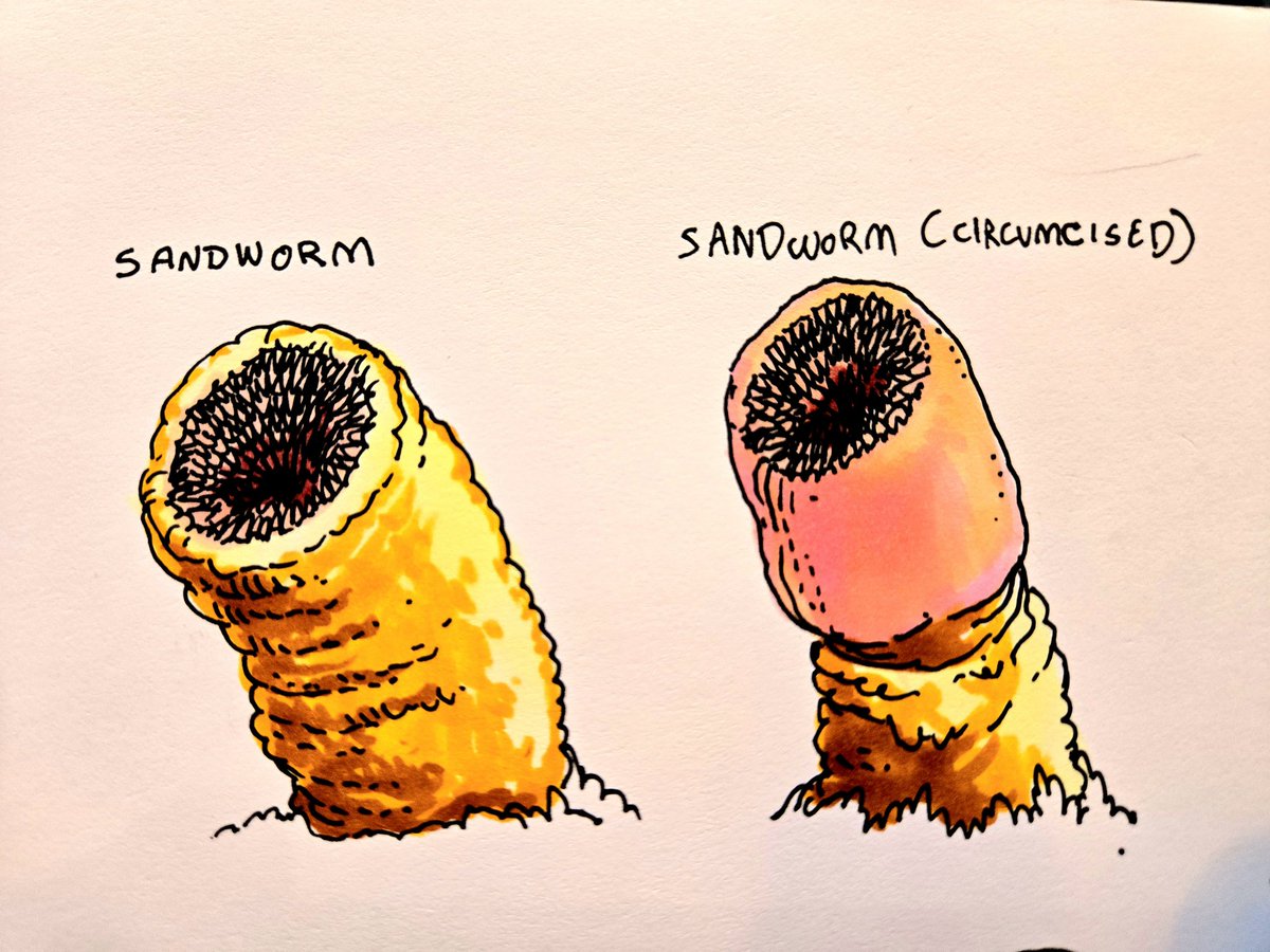 #dune #shaihalud #sandworm